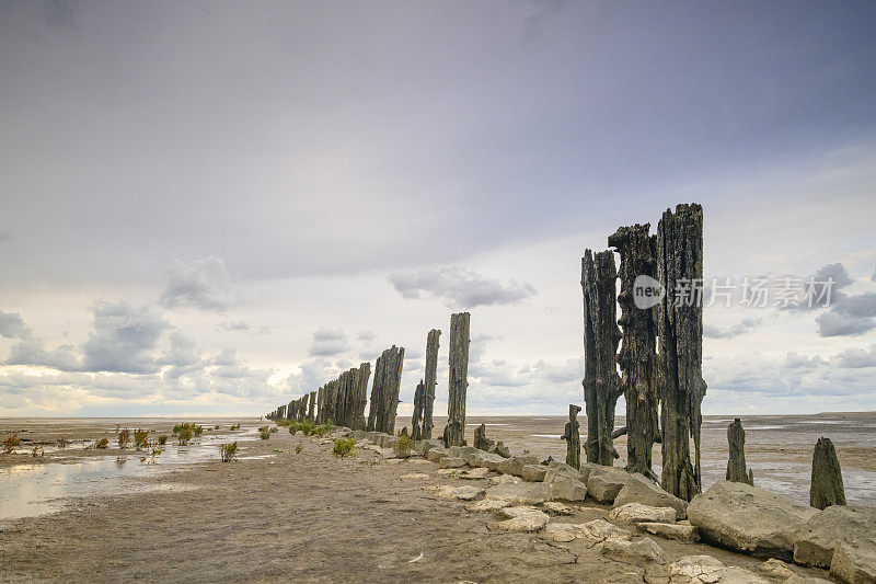 在荷兰北部的瓦登海自然保护区“de Wadden”中，古老的土地开垦柱在空旷的景观中排成一排